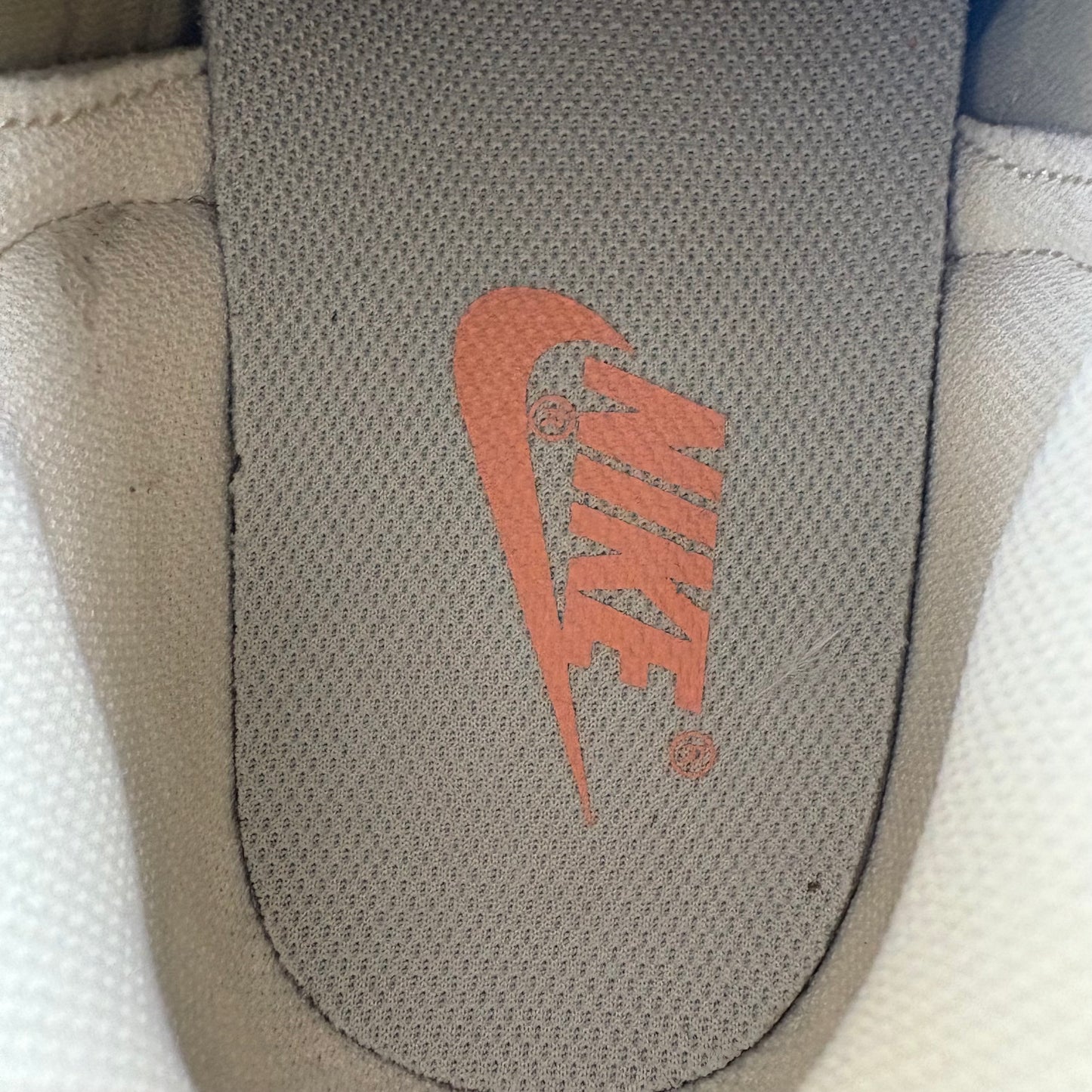 Nike Air Trainer 1 SP Coriander (Pre-owned)