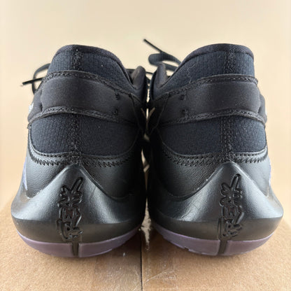 Nike Zoom Freak 2 Dusty Amethyst (Pre-owned)
