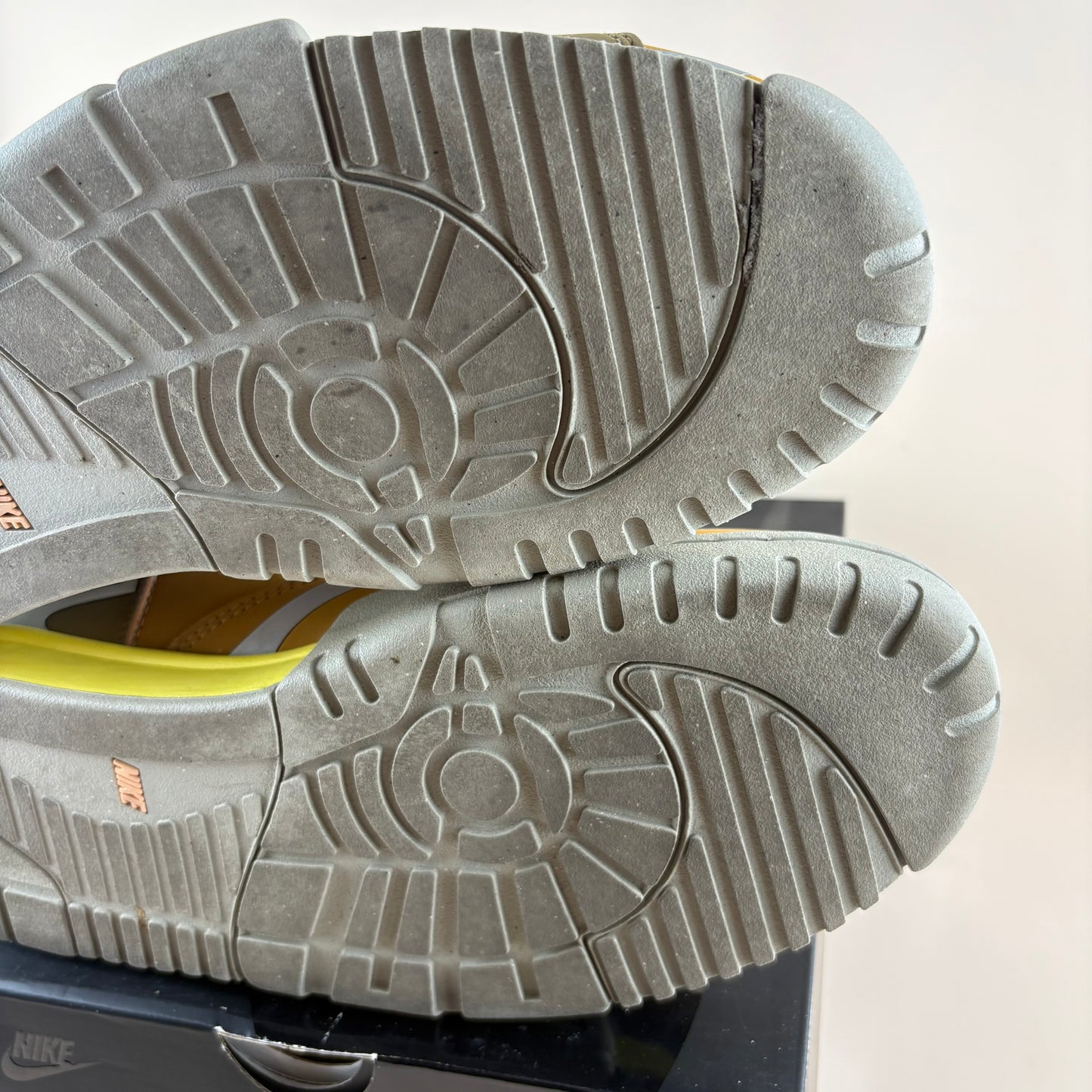 Nike Air Trainer 1 SP Coriander (Pre-owned)